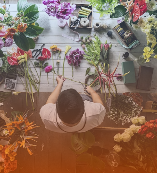 Flower flower-lover